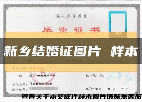 新乡结婚证图片 样本缩略图