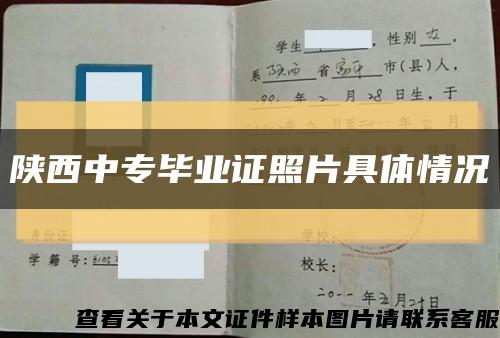 陕西中专毕业证照片具体情况缩略图