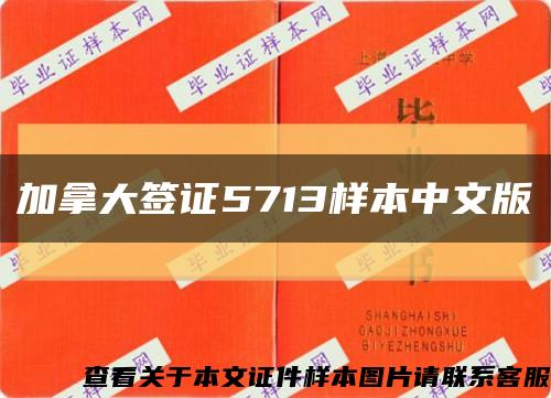 加拿大签证5713样本中文版缩略图
