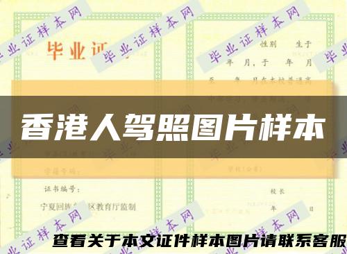 香港人驾照图片样本缩略图