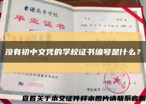没有初中文凭的学校证书编号是什么？缩略图