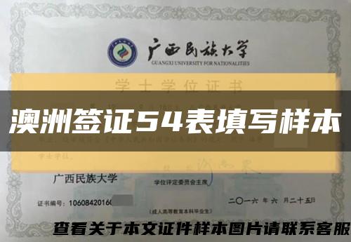 澳洲签证54表填写样本缩略图