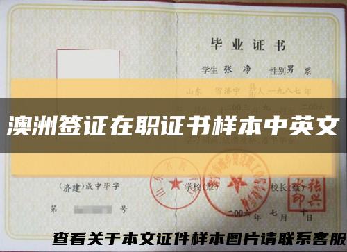 澳洲签证在职证书样本中英文缩略图