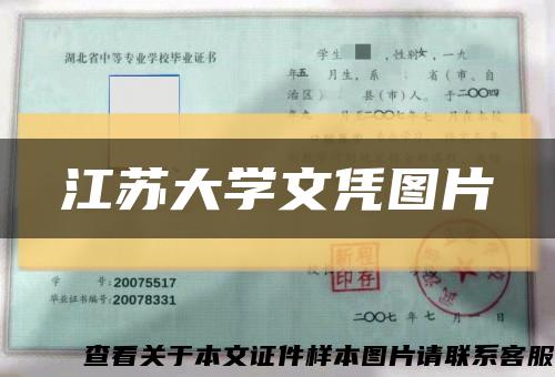 江苏大学文凭图片缩略图
