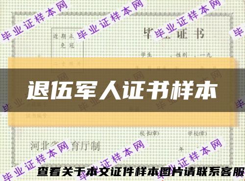 退伍军人证书样本缩略图