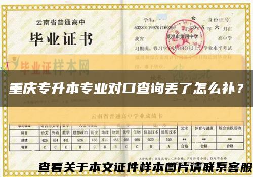 重庆专升本专业对口查询丢了怎么补？缩略图