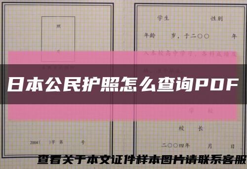 日本公民护照怎么查询PDF缩略图