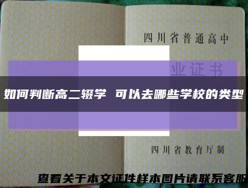 如何判断高二辍学 可以去哪些学校的类型缩略图