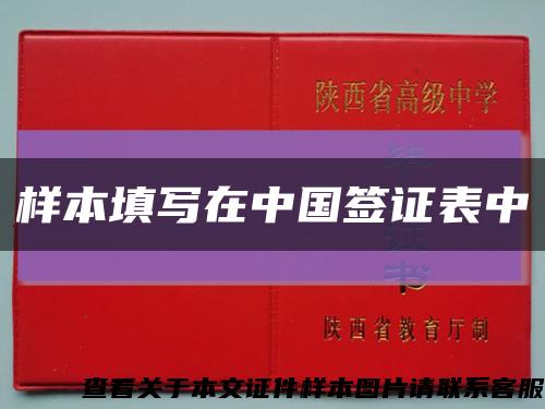 样本填写在中国签证表中缩略图