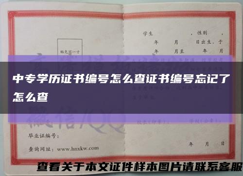 中专学历证书编号怎么查证书编号忘记了怎么查缩略图