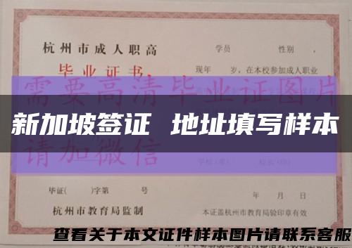 新加坡签证 地址填写样本缩略图