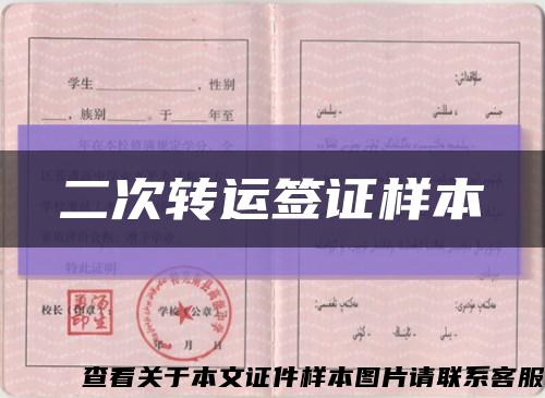 二次转运签证样本缩略图