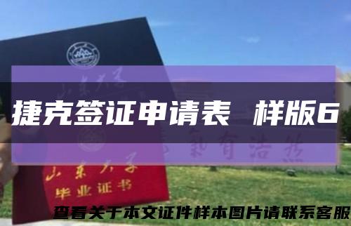 捷克签证申请表 样版6缩略图