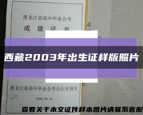 西藏2003年出生证样版照片缩略图