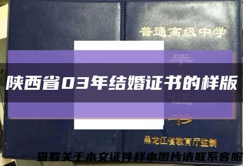 陕西省03年结婚证书的样版缩略图