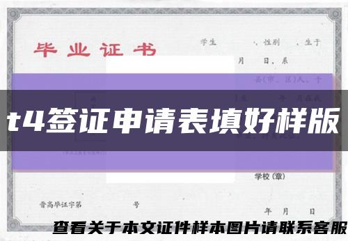 t4签证申请表填好样版缩略图