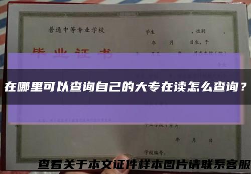 在哪里可以查询自己的大专在读怎么查询？缩略图