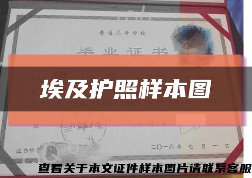 埃及护照样本图缩略图