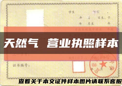 天然气 营业执照样本缩略图