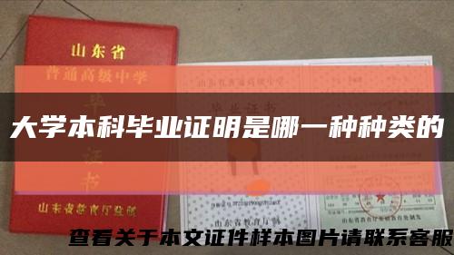 大学本科毕业证明是哪一种种类的缩略图