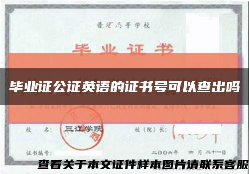 毕业证公证英语的证书号可以查出吗缩略图