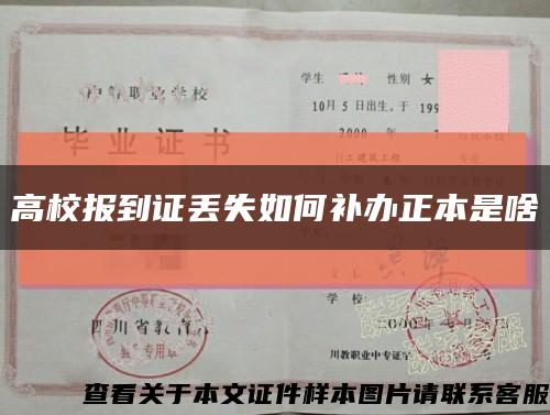 高校报到证丢失如何补办正本是啥缩略图