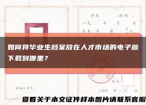 如何将毕业生档案放在人才市场的电子版下载到哪里？缩略图