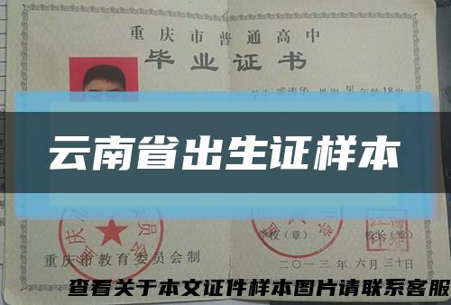 云南省出生证样本缩略图