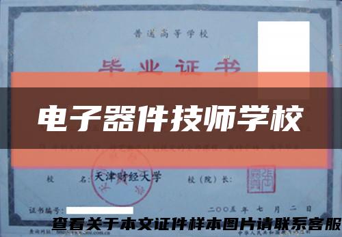 电子器件技师学校缩略图