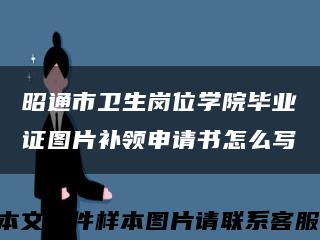 昭通市卫生岗位学院毕业证图片补领申请书怎么写缩略图