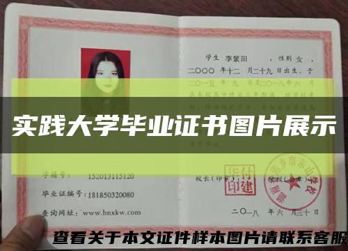 实践大学毕业证书图片展示缩略图