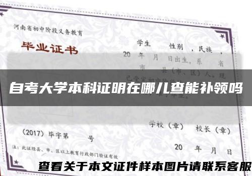 自考大学本科证明在哪儿查能补领吗缩略图