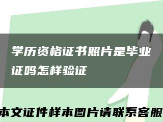 学历资格证书照片是毕业证吗怎样验证缩略图