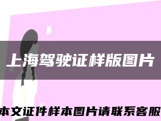 上海驾驶证样版图片缩略图