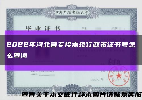 2022年河北省专接本现行政策证书号怎么查询缩略图