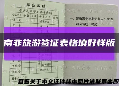 南非旅游签证表格填好样版缩略图