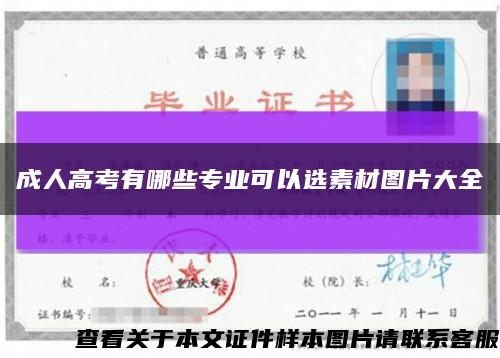 成人高考有哪些专业可以选素材图片大全缩略图