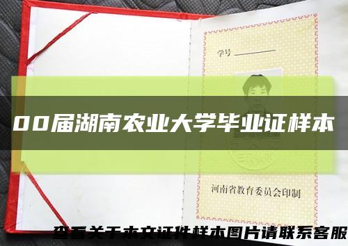 00届湖南农业大学毕业证样本缩略图