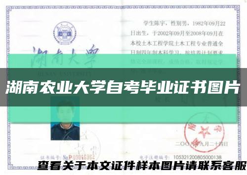 湖南农业大学自考毕业证书图片缩略图