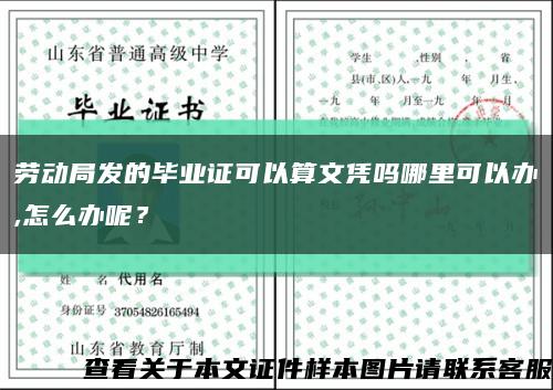 劳动局发的毕业证可以算文凭吗哪里可以办,怎么办呢？缩略图