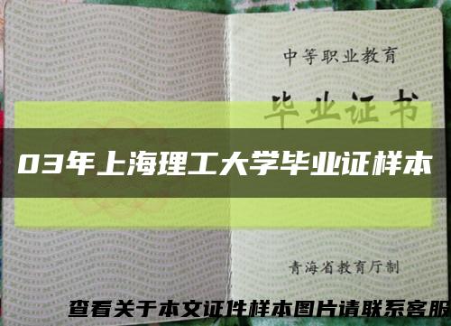 03年上海理工大学毕业证样本缩略图