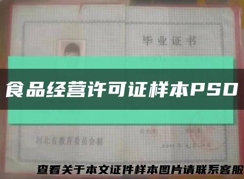 食品经营许可证样本PSD缩略图
