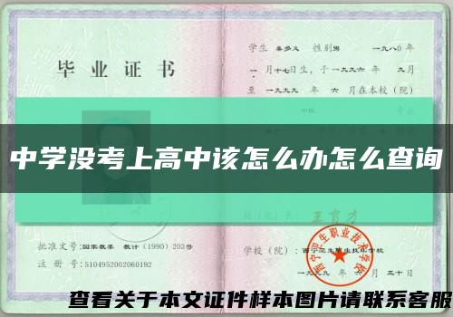 中学没考上高中该怎么办怎么查询缩略图