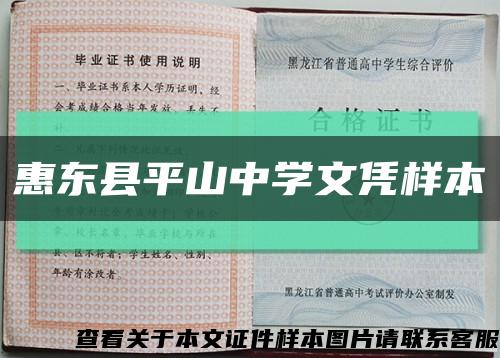惠东县平山中学文凭样本缩略图