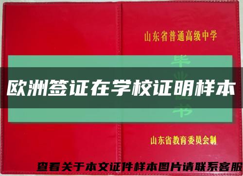 欧洲签证在学校证明样本缩略图
