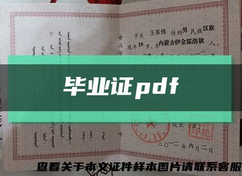 毕业证pdf缩略图