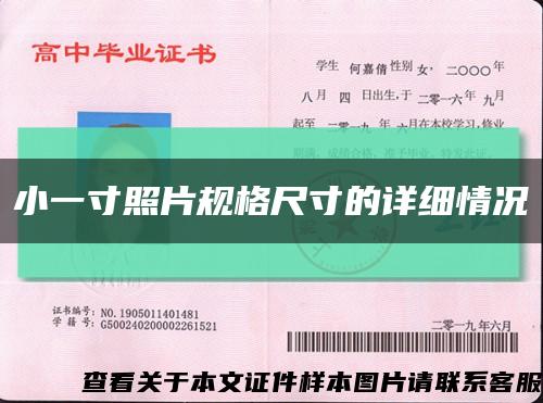 小一寸照片规格尺寸的详细情况缩略图
