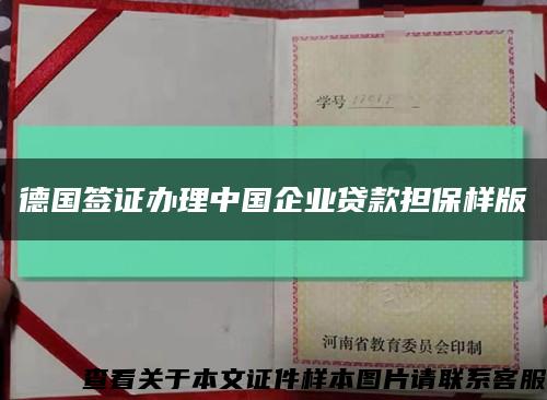 德国签证办理中国企业贷款担保样版缩略图