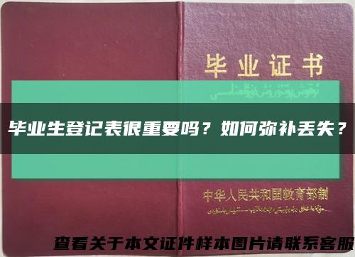 毕业生登记表很重要吗？如何弥补丢失？缩略图