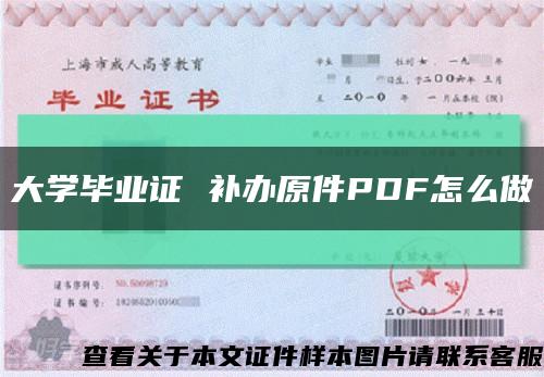 大学毕业证 补办原件PDF怎么做缩略图